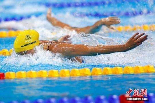 里约奥运会游泳，里约奥运会游泳金牌